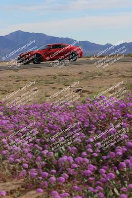 media/Jan-08-2023-SCCA SD (Sun) [[8f6a5b9391]]/Advanced Group/Session 2 (Short Straight)/